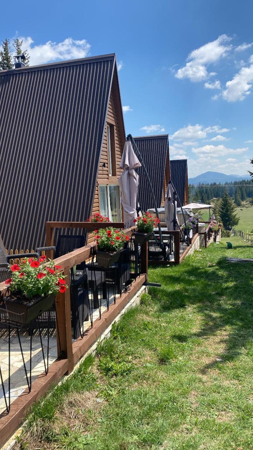 Woodmood Villa Zabljak  Bagian luar foto